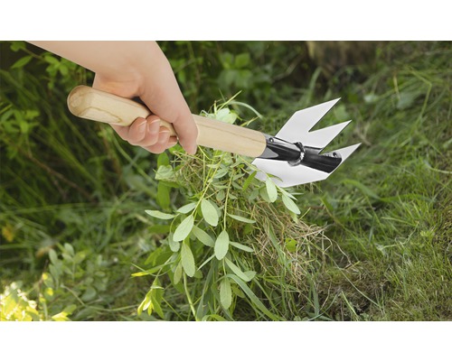 Hand mit Unkrautstecher und Holzgriff entfernt Unkraut