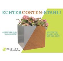 Quadratischer Pflanzkasten aus Cortenstahl mit Pflanzen