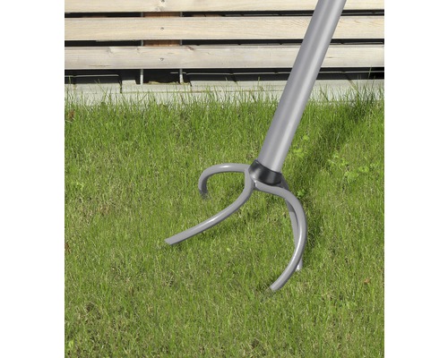 Unkrautstecher auf Rasen