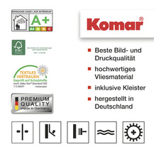 Fototapete Vlies SHX9-045 Im Frühlingswald 9-tlg. 450 x 280 cm