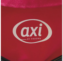 Axi by Pragma Logo