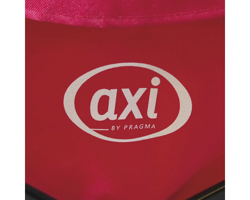 Logo Axi by Pragma