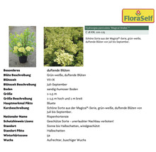 Pflanzenset Terrasse FloraSelf ca. 30 m² Beet 11 Pflanzen inkl. 5 Kg Hofdünger organischer Dünger
