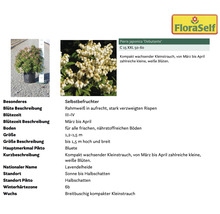 Pflanzenset Terrasse FloraSelf ca. 30 m² Beet 11 Pflanzen inkl. 5 Kg Hofdünger organischer Dünger
