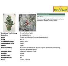 Pflanzenset Terrasse FloraSelf ca. 30 m² Beet 11 Pflanzen inkl. 5 Kg Hofdünger organischer Dünger