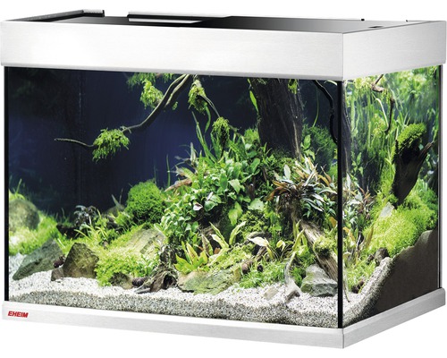 Aquarium aménagé avec plantes et décoration