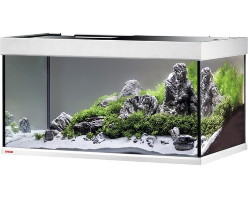 Aquarium aménagé avec pierres et plantes
