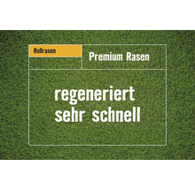 Rollrasen Premium regeneriert sehr schnell