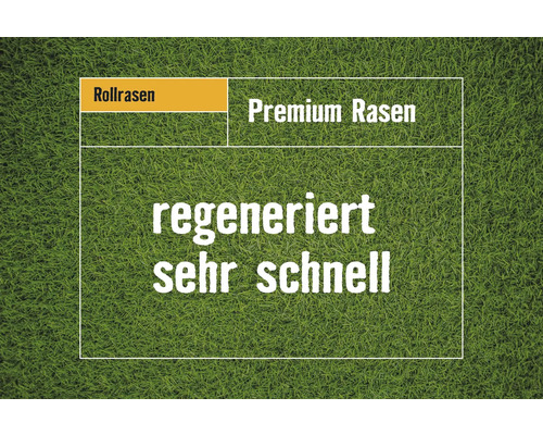 Rollrasen Premium-Rasen Bestellmenge 40-49 m² tagesfrisch geschält