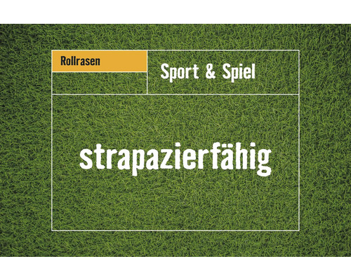 Gazon en rouleau sport & jeu quantité de commande 50-99 m² pelé du jour, résistant, régénération rapide, pour les emplacements ensoleillés à semi-ombragés, idéal pour les familles Gazon en rouleau résistant pour le sport et les jeux