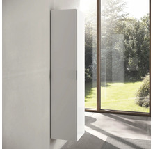 Armoire de salle de bains haute pour montage mural