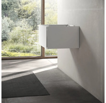 Meuble sous-lavabo suspendu dans une salle de bain.