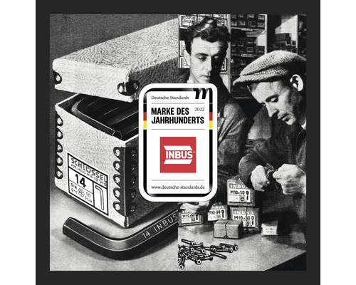 Inbus Logo Marke des Jahrhunderts für Inbusschlüssel