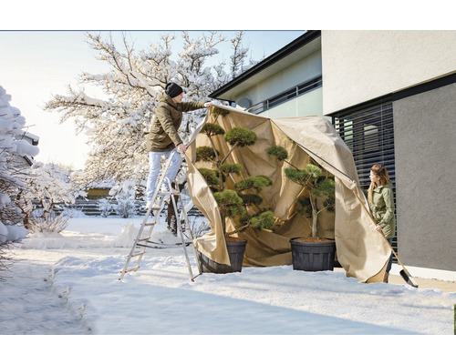 Personen schützen Pflanzen mit einer Winterschutzhülle im Garten