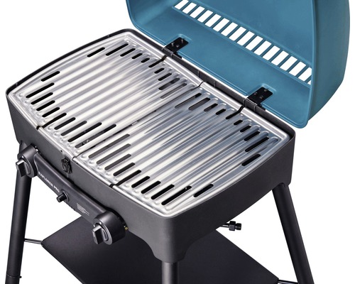 Gasgrill mit Grillrost und Deckel