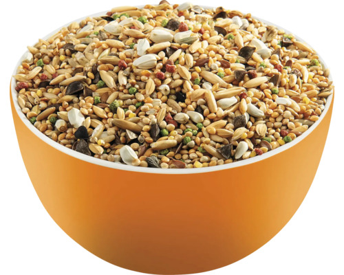 Nourriture pour oiseaux dans un bol