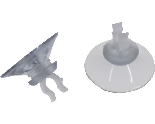 Zwei transparente Saugnäpfe für Aquarien