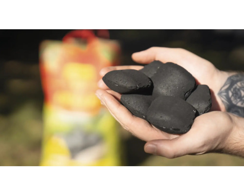 Hände halten Grillbriketts