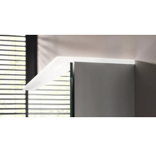 Detailansicht eines Badezimmerschranks mit Spiegeltür und Regal