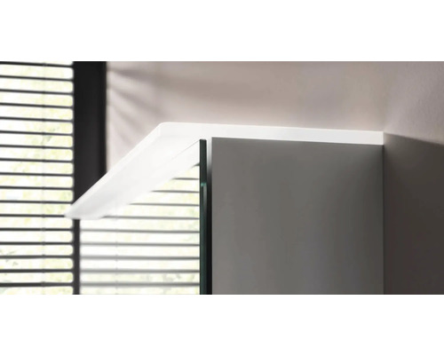 Detailansicht eines Badezimmerschranks mit Spiegeltür und Regal