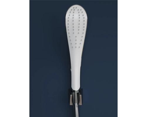 Douchette avec flexible de douche dans son support