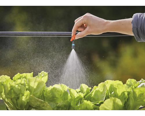 Bewässerung von Salat mit einem Bewässerungssystem