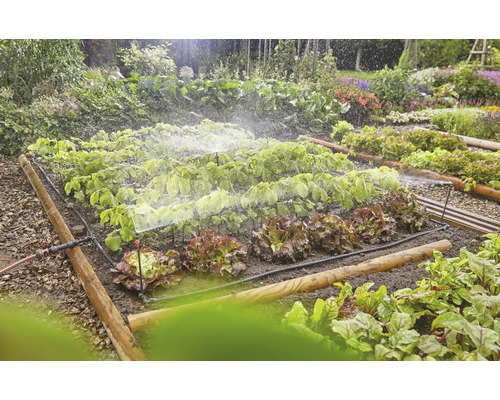 Bewässerungssystem in einem Gemüsegarten mit Salat und anderen Pflanzen.