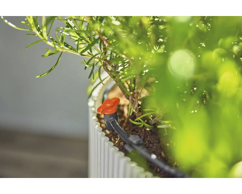 Tropfbewässerungssystem für Pflanzen im Pflanzgefäß