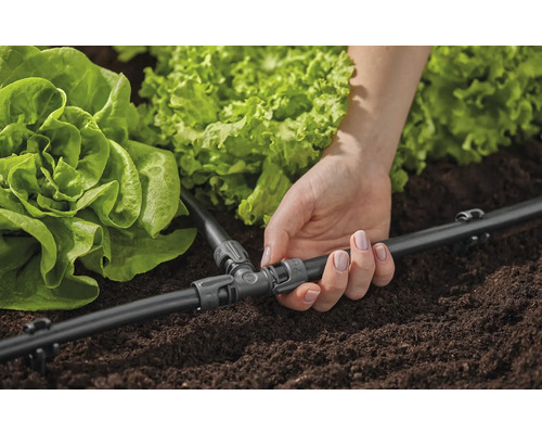 Nahaufnahme einer Frau, die ein Bewässerungssystem für Salate im Garten installiert