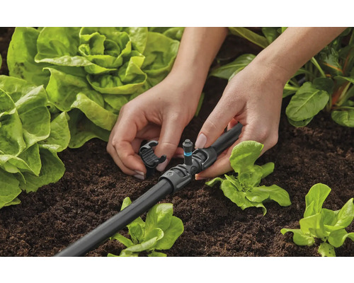 Installation einer Tropfbewässerung im Gartenbeet zur gezielten Bewässerung von Pflanzen