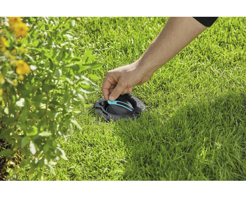Une personne installe un arroseur de gazon escamotable dans une pelouse près d''un arbuste en fleurs.