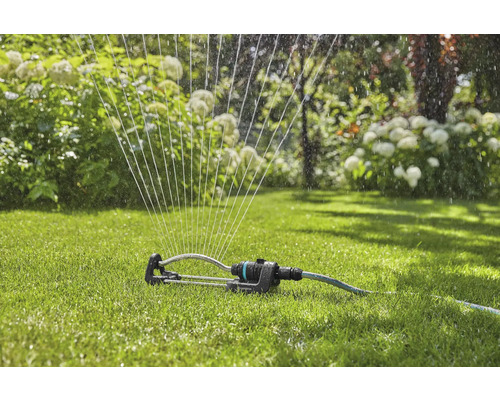 Rasensprenger beim Bewässern eines Rasens