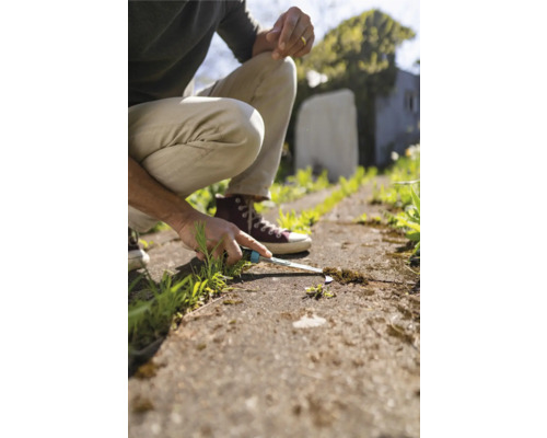 Une personne enlève les mauvaises herbes d''un chemin pavé à l''aide d''un couteau à désherber.