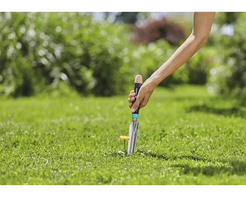 Person entfernt Löwenzahn mit einem Unkrautstecher im Garten.