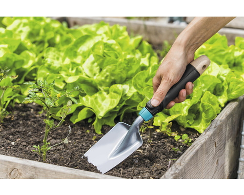 Scène de jardin avec une personne utilisant une plantoir dans un jardin surélevé, entourée de laitues et de plants de tomates.
