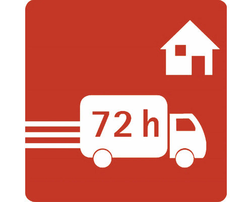 72 Stunden Liefersymbol