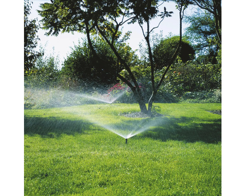 Rasenbewässerung mit Sprinklern in einem Garten