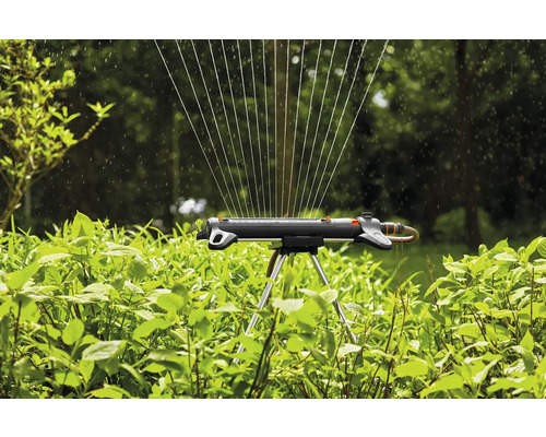 Gartensprenger mit Sprühstrahl im Einsatz zur Bewässerung von Pflanzen