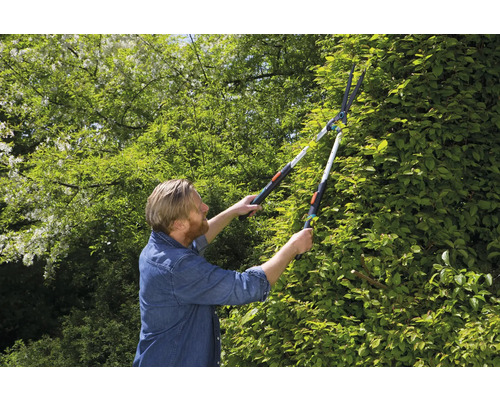 Ein Mann schneidet eine Hecke mit einer Heckenschere.