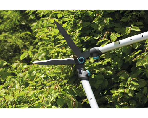 Heckenschere im Einsatz an einer Hecke