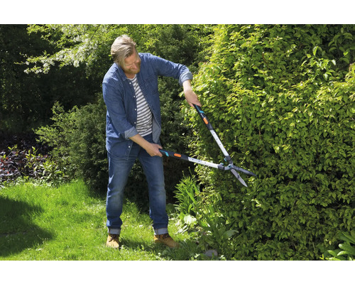 Un homme taille une haie avec un taille-haie dans le jardin.