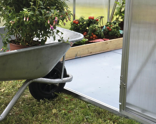Scène avec brouette devant une serre avec des plants de tomates
