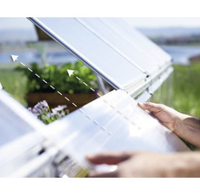 Serre ouverte avec des plantes et des fenêtres transparentes