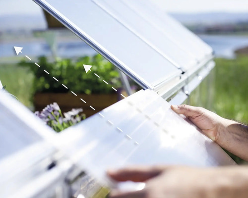 Serre ouverte avec des plantes et des fenêtres transparentes