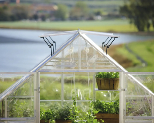 Serre avec porte ouverte et plantes