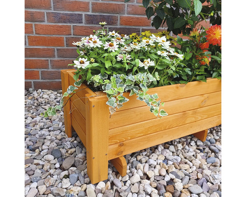 Blumenkasten aus Holz mit Blumen bepflanzt