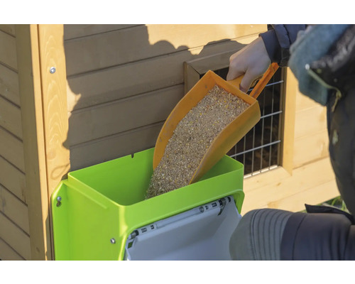 Remplissage d''un distributeur de nourriture pour poulets avec une pelle