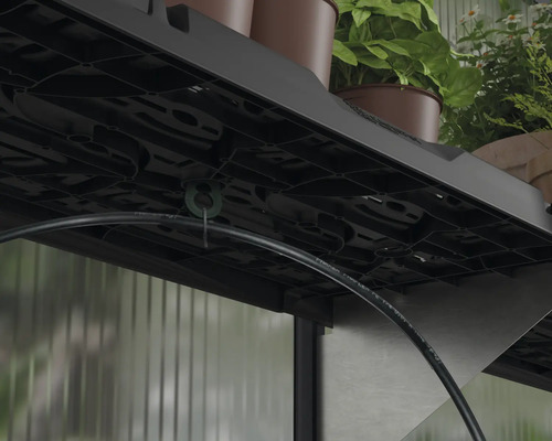 Gros plan d''une étagère avec système d''irrigation dans la serre.