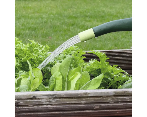 Arrosoir arrosant des plantes dans une jardinière surélevée