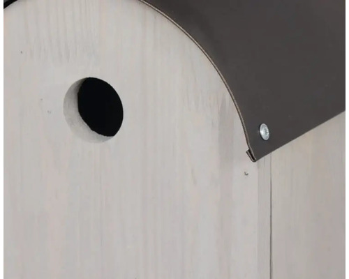 Gros plan d''un nichoir avec trou d''envol et toit